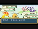【モヤッシモンスター049】新たな改造ポケモンを実況プレイPart52