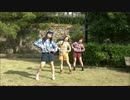 【ぐるーみぃ】妄想税を踊ってみた【ありんこ】