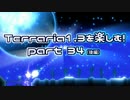 【字幕プレイ】Terraria1.3を楽しむ！part34-3【隠しピラー】