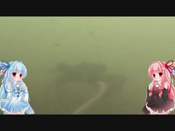 きまぐれ水中観察その2、福田漁港