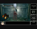 ダークソウル_トロコンRTA_7時間25分12秒_大斧チャートPart05.2