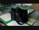 【癒し】「ドジっ子あずｗ」 子猫の成長日記