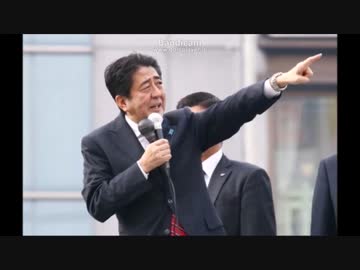 安倍総理を支持すべきか？批判すべきか？（ウソ字幕動画）