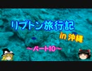 ゆっくりリプトン旅行記 in 沖縄～パート10～
