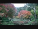 【自転車しゃしゃしゃ～】地球一周分の距離を走ってみる【part15】