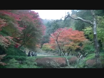 【自転車しゃしゃしゃ～】地球一周分の距離を走ってみる【part15】