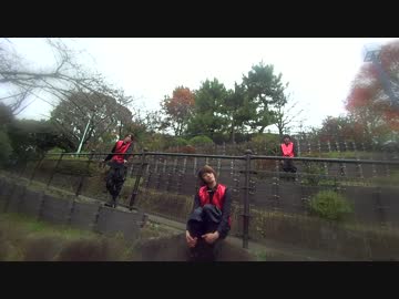 【AiZe】ハッピーライフカーニバル　踊ってみた　【なヒち】