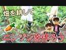 【目指せスティーブ】畑でニンジンをつくろう！【リアルクラフト】
