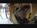 富良野ニングルテラス【野生のリスが現れた。】