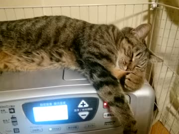 あったけ～のよん♪