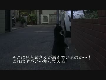 三つ巴の末、猫がオコジョ化