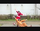 【質より量。】　cLick cRack踊ってみた　【Merry Christmas!】