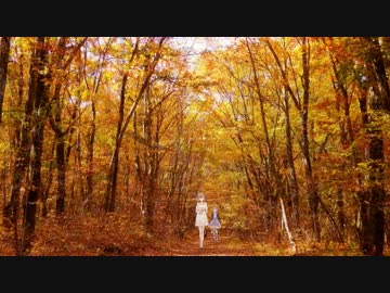 【結月ゆかり】紅葉した森を散歩するよ（後編）【さとうささら】