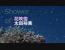 【太田裕美マニアックコレクション】　花吹雪