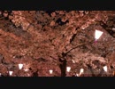 【SDVX落選供養】さくらさくら　～ Japanize Dream...((ﾉ_･｡))【妖々夢リミ】