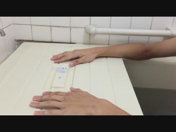 【指】Let'sニャンス叩いてみた