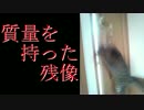 ドアに完全勝利したウチの猫UC