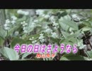 【カラオケ】　今日の日はさようなら　森山良子　《off vocal》