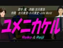 【Reiko＆Reiji】ユメニカケル【カバー曲】