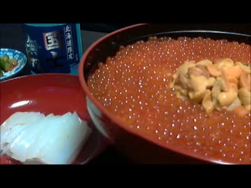 【ビバ！デカ盛り】 　　 　塩水うに いくら丼 の巻
