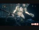 【初見実況】ブラッドボーン DLC編(8周目) 第１６回【手汗かきの狩人】