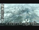 魔導師が行くスカイリムpart27