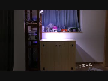 超浅場の海を作ろう！第1話 水槽立ち上げ前準備