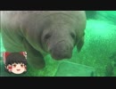 ゆっくりれいむのアクア放浪記　#13　新屋島水族館