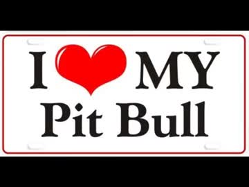 【閲覧注意】ピットブル怖い【猛犬注意】