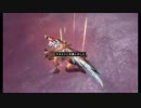 【MHF】下手な俺が２区番人にリベンジしてみた２【ゆっくり実況プレイ】