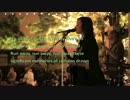Emily Wolfe - Accident