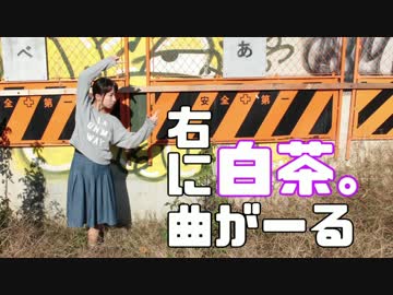 右に曲ガール　踊ってみ茶。