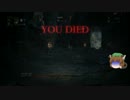 【Bloodborne】ちぇんが悪い獣たちを成敗しますよ！ part.11 【ゆっくり実況】