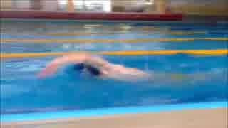 人気の クロール 動画 93本 ニコニコ動画