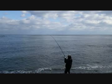 アイナメのミノーイング