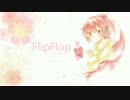 Flip Flop