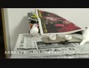 【文鳥動画】気ままなしろぶち