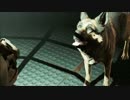 【Fallout4】　おっさんが荒野をぶらり旅その24【ニコ生】