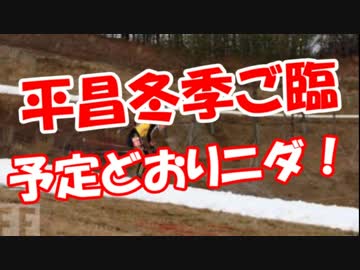 【平昌冬季ご臨】 予定どおりニダ！