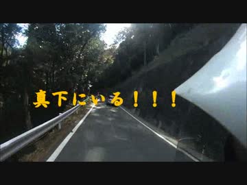 【ヒルクライム】クリスマスにトーマスとおっかけっこしてきた　後編