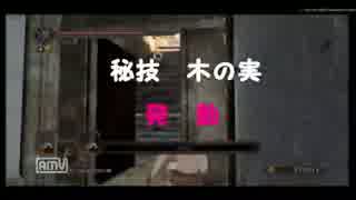 【２３】壁登るNC！木の実の狂気！ダークソウル２