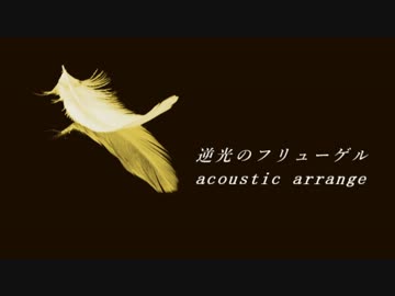 戦姫絶唱シンフォギア「逆光のフリューゲル」アコギで弾いてみた