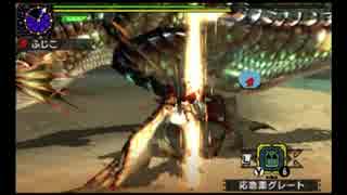 【MHX実況】闘技そろS-8