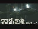 ◎)(◎【HD実況】 ワンダと巨像 ＜self hard mode＞ Part7