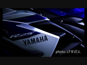 【納車】新しいバイク買ってみた