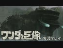 ◎)(◎【HD実況】 ワンダと巨像 ＜self hard mode＞ Part12