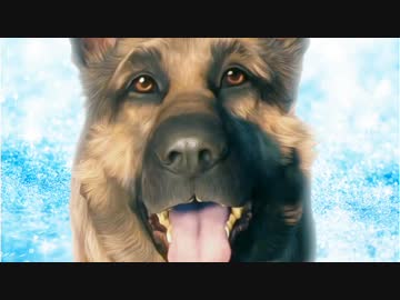 かなり危険なお散歩 - Fallout4 実況 - #5