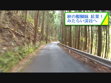 バイクでみたらい渓谷に紅葉を見に行ってきた 前編