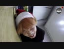 151224 [BTS BOMB]  "RUN"  christmas ver.