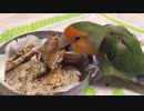 バードクッキーを作った＋試食【簡単おやつ】
